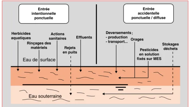 Figure 1. – Entrées de produits phytosanitaires dans le milieu aquatique.  䊳 Entrée intentionnelleponctuelle Entrée accidentelle ponctuelle / diffuse Herbicides aquatiques Rinçages des matériels Eau de  surface Actions sanitaires Rejets en puits Effluents 