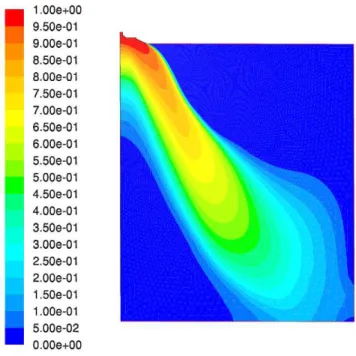 Figure 2. Field of the mean mass fraction - 2D calculations 