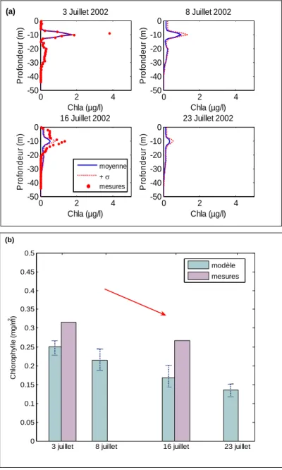 Figure 8: Prévisions du 3 au 23 Juillet 2002 (a) Profils de P.rubescens (µgChl/l)  et (b) Concentrations intégrées sur 40m (mgChl/m²)  