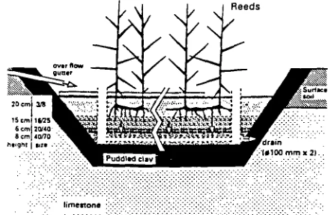 Fig. 1. Longitudinal cross section of a reed bed filter.