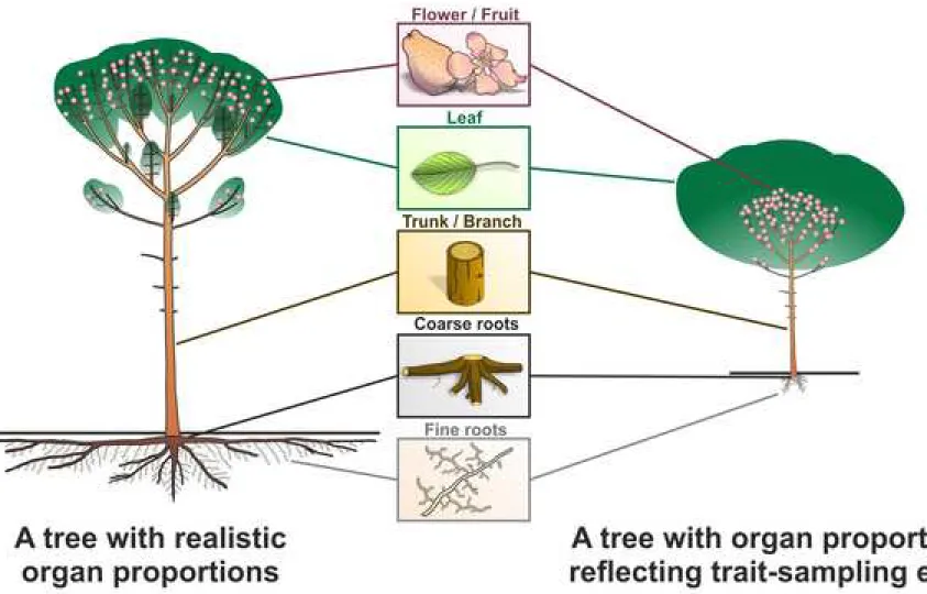Figure 1 Click here to access/download;Figure;Fig. 1.tif