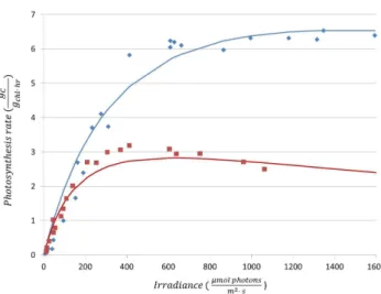Fig. 2. Dependency between growth rate and acclimation for Dunaliela tertiolocta [25]