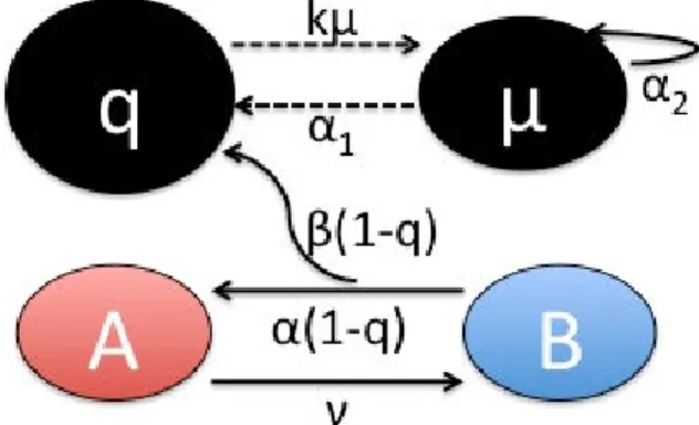 Fig. 2. Excitation protocol applied to the sample in order to  calibrate the model. 