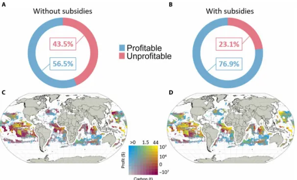 Fig. 3. Impact of government subsidies on blue carbon extraction in the high seas. Percentage of blue carbon extracted in profitable areas and unprofitable areas  without subsidies (A) and with subsidies (B)