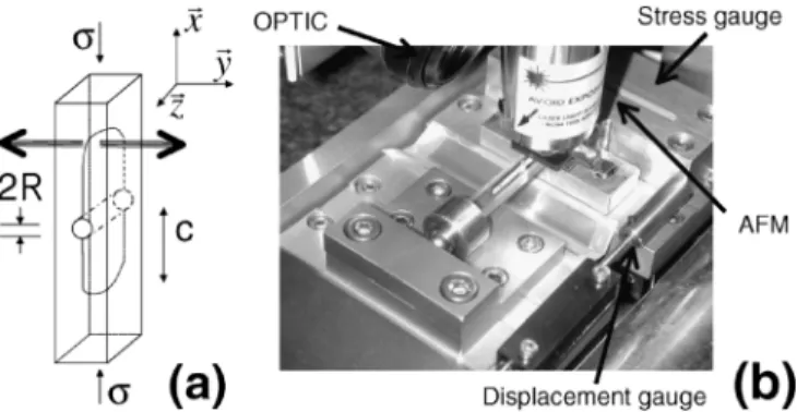 FIG. 1. Experimental setup: (a) sketch of the DCDC geometry, (b) picture of the experiment.