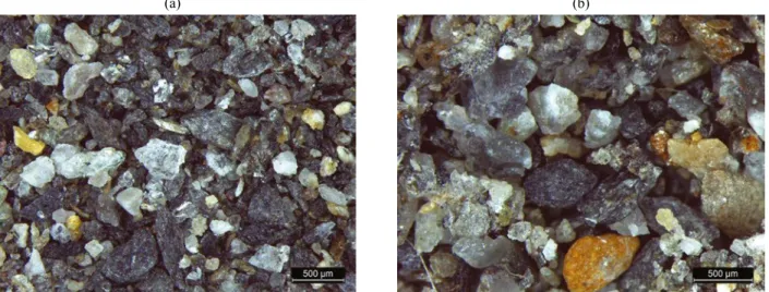 Figure 4 : Photos des sédiments de diamètre &gt; 63µm d’échantillons de l’Arc (a) (Echantillon 3‑4) pris au préleveur multi‑