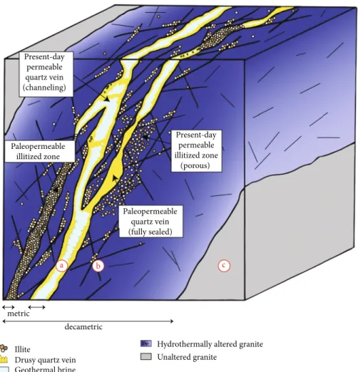 Figure 1: Complexity of a FZ after Caine et al. [71]. We can di ﬀ erentiate three zones: (a) the fault core, which can be a pathway for ﬂ uid if illite and quartz veins are not totally sealing the zone, (b) the damage zone, which can be sealed or opened wi