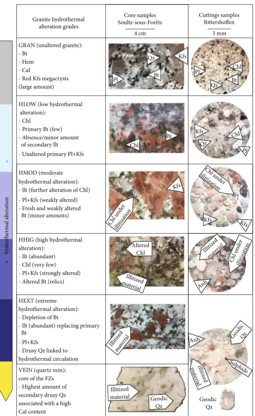 Figure 3: Examples of mineralogical assemblages of the granitic basement observed in cores (middle) and in cuttings (right); these assemblages de ﬁ ne the di ﬀ erent hydrothermal alteration grades (left)