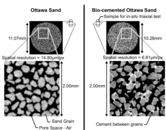 Fig. 1 Horizontal slices through 3D x-ray tomography images of the cemented and reference sand specimens indicating the  ge-ometry and organisation of the grains plus the distribution of cements in the treated specimen (the cement appears brighter than the