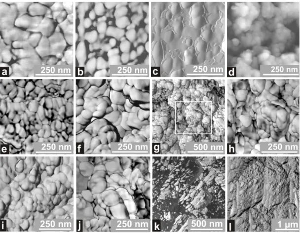 Figure 6. Uniformity of the reticulate pattern in mollusks and coral skeletons at  comparable enlargements