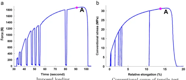 Fig. 9. Mechanical response of the sample: (a) imposed loading; (b) conventional curve of tensile test.