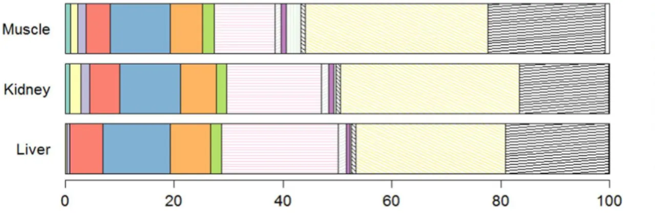Fig.  6.  Stacked  bar  plot  of  POPs  in  liver,  kidney  and  muscle  of  Antarctic  prions  from  Kerguelen Islands (n = 10)