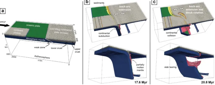 Figure  2:  3D  thermo-mechanical  modeling  of  retreating  subduction  neighboring  a  collisional  domain