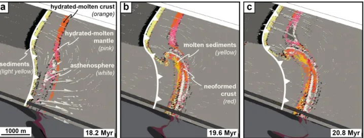 Figure  3:  35  km-depth  horizontal  cross-section  of  the  reference  model,  corresponding  to  the  base  of  the  stretched  continental  crust,  highlighting  the  different  hydrated  and  partially  molten  phases