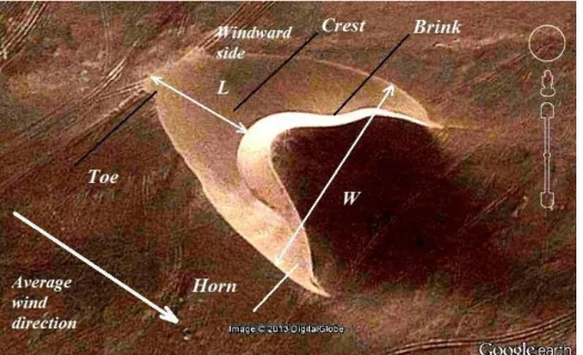 Figure 1 – A barchan in Peru as we can see it in a Google Earth image. W is the width of the dune and L its length