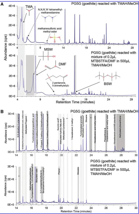 FIG. 4. (A) Total ion chromatogram of goethite sample reacted with TMAH/MeOH compared to goethite sample reacted with mixture of 0.2 mL MTBSTFA/DMF in 500 mL TMAH/MeOH