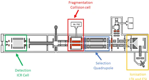 Figure S1: Schem of the instrument used for the tandem experiments 
