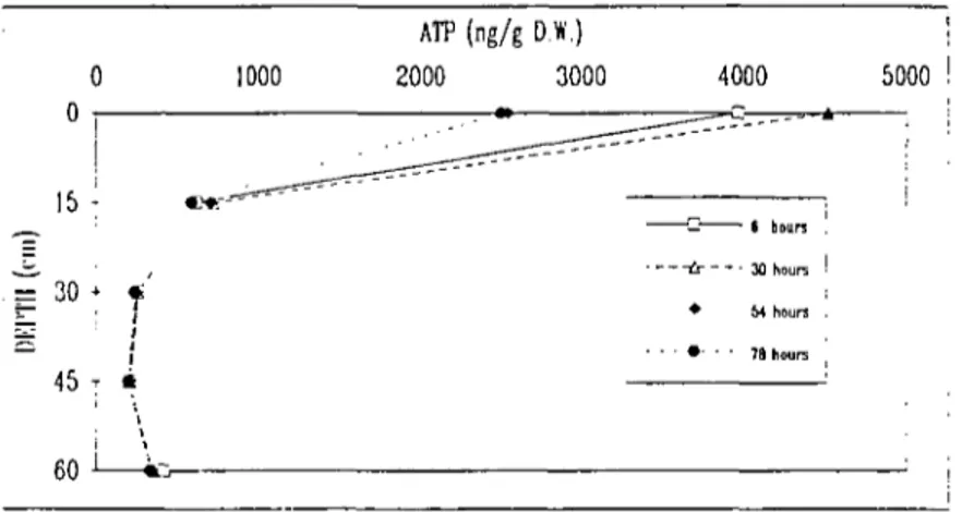 Fig. 4. ATP curves during drying period (cycle n°14).