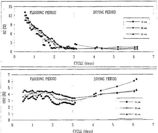 Fig. 6. C&gt;2 and COj curves for cycle during which clogging did not occur (SS ~ 100 mg/1)