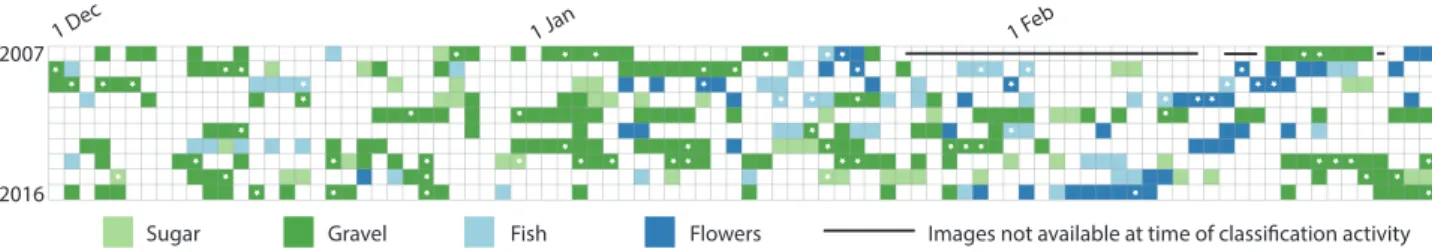 Figure 5. Color coded identification of Sugar, Gravel, Fish, or Flowers based on the agreement of four or more labels
