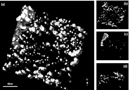 Figure 5. Resulting graylevel image of clouds and cloud shadows combining all the individual masks of the SITS at each date (a); or detected only in 26 May (b); in 20 July (c); and in 21 September (d).