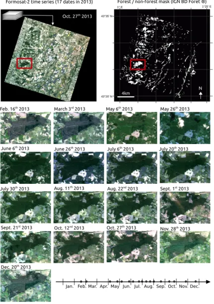 Figure 2. Dataset used in the study composed of a multispectral Formosat-2 time series of 17 dates covering a 24 km × 24 km area and a forest/non-forest mask derived from the French National Forest Inventory database