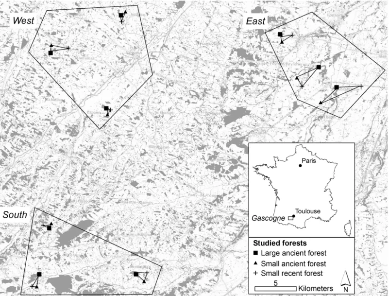 Fig 1. Sampling plan: 27 forests were sampled in a highly fragmented region. Grey indicates forest in the landscape.