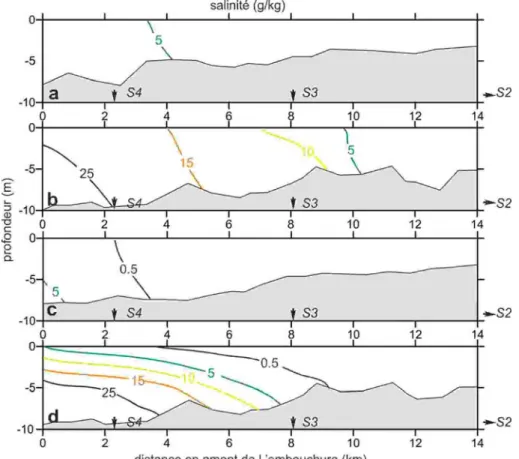 Figure 3. Gradient de salinité mesuré le long du Maroni dans le chenal de navigation,  en marée moyenne