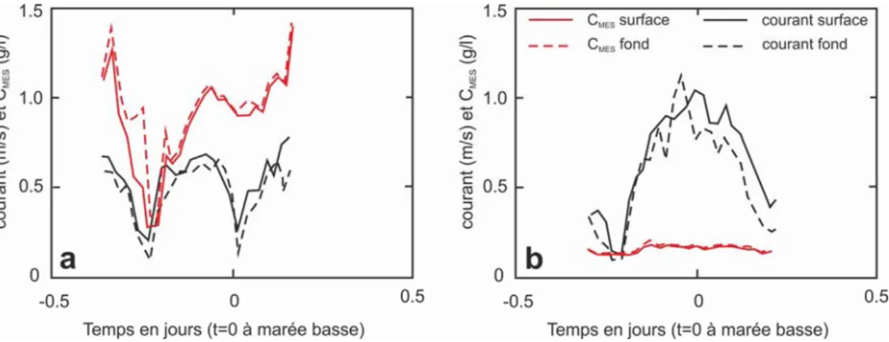 Figure 4. Mesures de courant et de concentration en matières en suspension en point  fixe (station S2) pendant un cycle de marée semi-diurne
