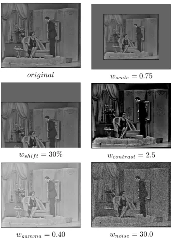 Fig. 9. The five kinds of transformations studied in the experiments: resize, shift, contrast, gamma, noise addition