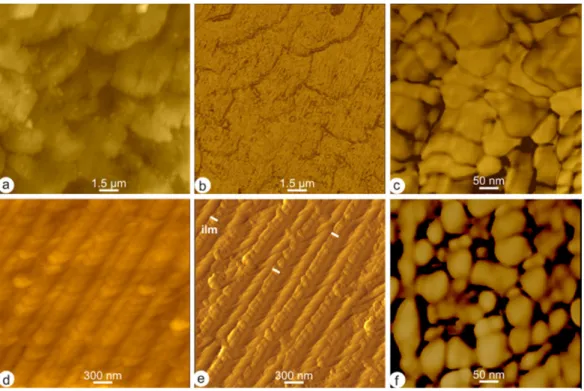 Figure 2. Nanostructure of the shell of Pinctada margaritifera. Inner surface of the shell,  showing the partially superimposed tablets