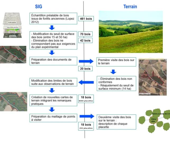 Figure 3. Schéma récapitulatif des différentes étapes du processus d'échantillonnage, entre travail sur SIG   et prospections sur le terrain (photographie Wilgried Heintz) 