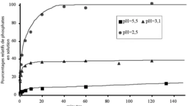Figure 5: Evolution du pourcentage relatif de phosphates en solution en fonction du temps.