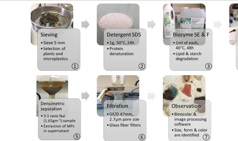 Figure 3: samples treatment protocol (Dris, 2016)