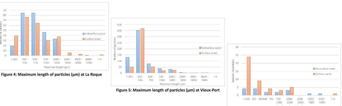Figure 5: Maximum length of particles (µm) at Vieux-Port