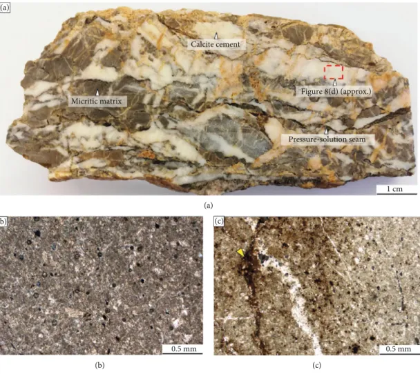 Figure 7: Fault core images. (a) Hand sample photograph of the foliated cataclasite showing S-C shear lenses (lithons) of grey host rock micritic limestone and calcite, bounded by dissolution seams or stylolites