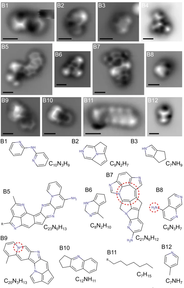 Figure 2. High-resolution AFM images and assigned structures of tholins from the insoluble fraction