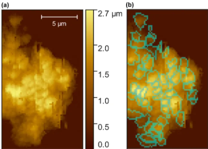 Figure 1. (a) Crop of a MIDAS post-processed topographic image showing particle F as example for the structure of compact agglomerates
