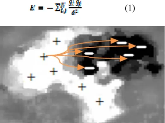 Figure 2  A sample of an active region shows the magnetic  configuration and interaction