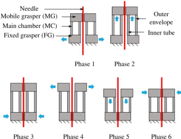 FIGURE 2 : DIFFERENT PHASES OF MOTION FOR THE INCHWORM CYCLE.