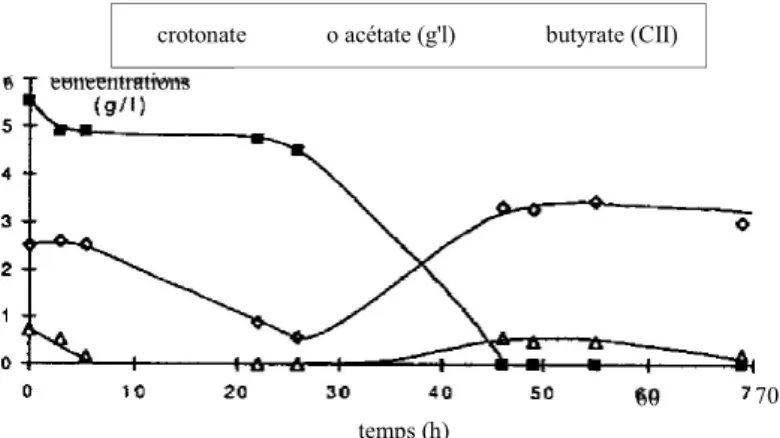Figure 4 Variation des concentrations en acétate, butyrate et crotonate en alimentation  continue avec du crotonate à 5,2 gn {réacteur vermiculite).