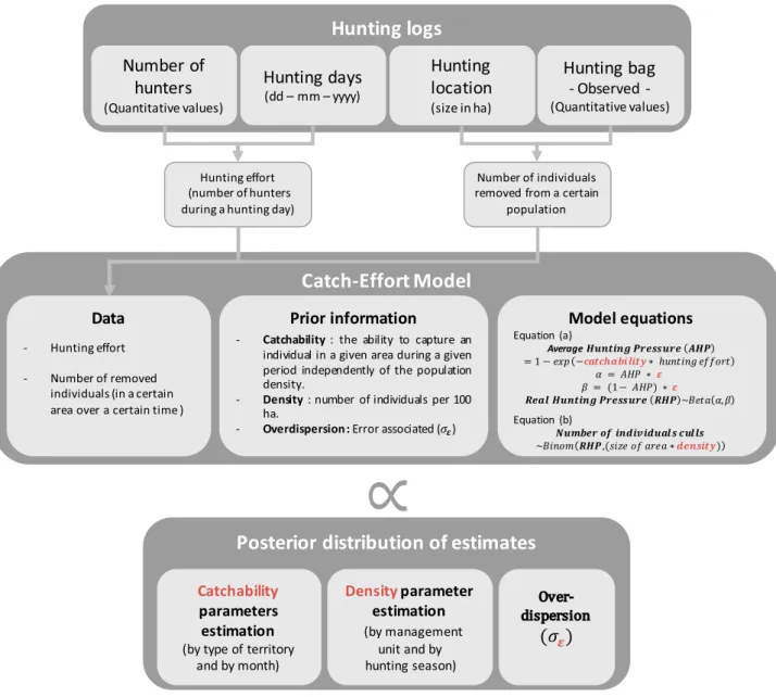 Fig. 2. Conceptual framework of the catch-effort model divided in three blocks. Upper block: data used int the catch-effort model; Middle block, catch-effort model; 