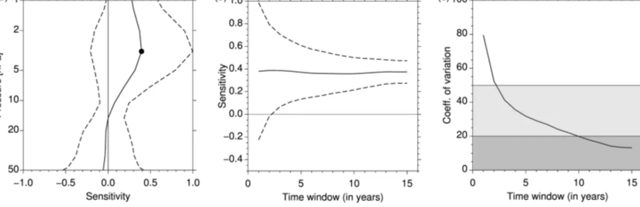 Figure 11. (a) CCM mean ozone sensitivity profile over the 1991–2005 period computed for a 1-year time window (see text for details on calculations)