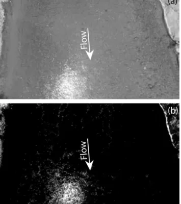 Figure 5. (a) Greyscale footage acquired by the Phantom 3 UAS over the River Noce and (b) the same image following contrast stretching