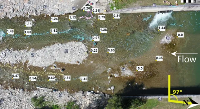 Figure 3. A snapshot from footage acquired proximal to a fish ladder on the Alpine river