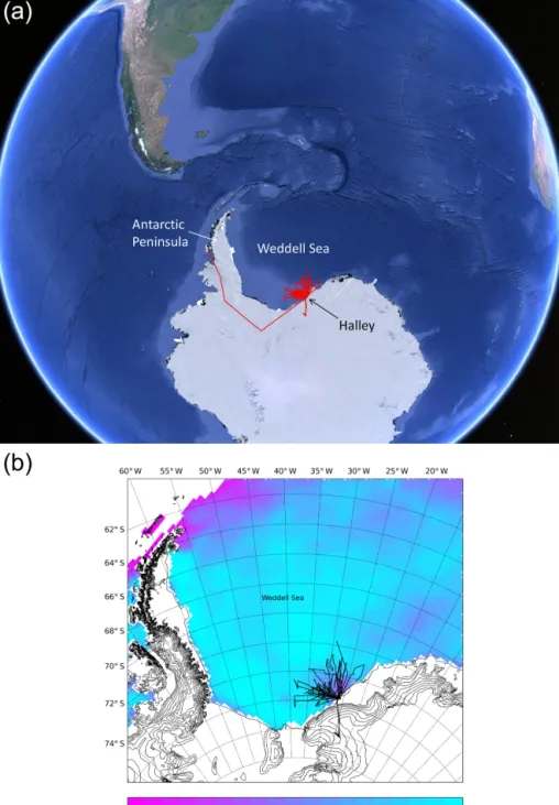 Figure 1. (a) Flight tracks during the MAC field project (source: Google Earth). Panel (b) shows the sea ice fraction on the Weddell Sea (Maslanik and Stroeve, 1999) during the experimental period.