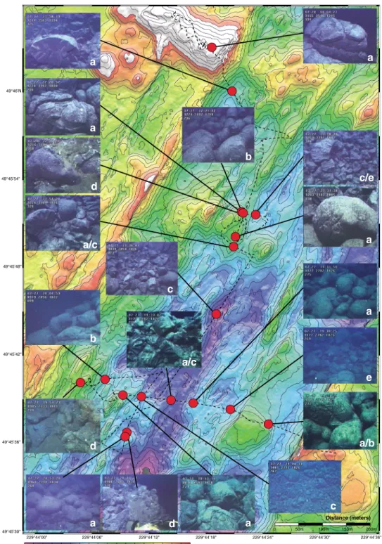 Figure 8. Bathymetric map of the SER in the vicinity of the Magic Mountain hydrothermal ﬁ eld, with the location of ROPOS dive R665 shown, and photographs of geologic features in the axial valley