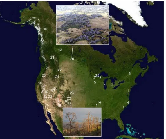 Fig. 7. Satellite map of North America, with documented drought-induced mortality localities indicated with numbers,  tied to Table A5 references