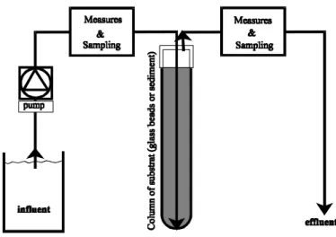 Figure 3 : experimental model of the hyporheon. 