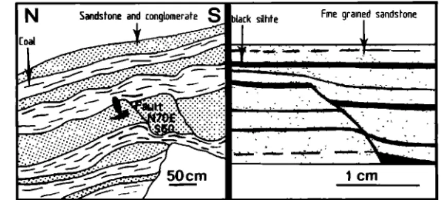 Fig.  10.  Example  of  synsedimentary  faulting  in  the  Triassic  molasse. 